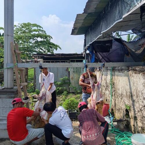 Moment Idul Adha 2026 Moment Idul Adha 2026